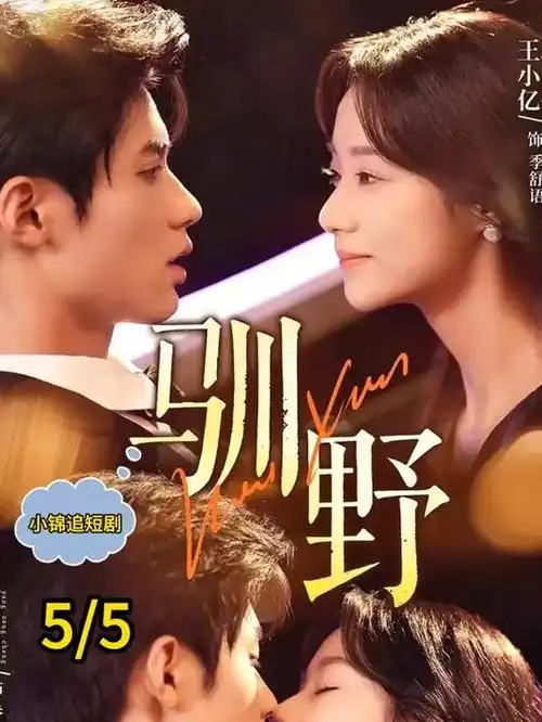 归港家庭治愈剧热播全集在线观看